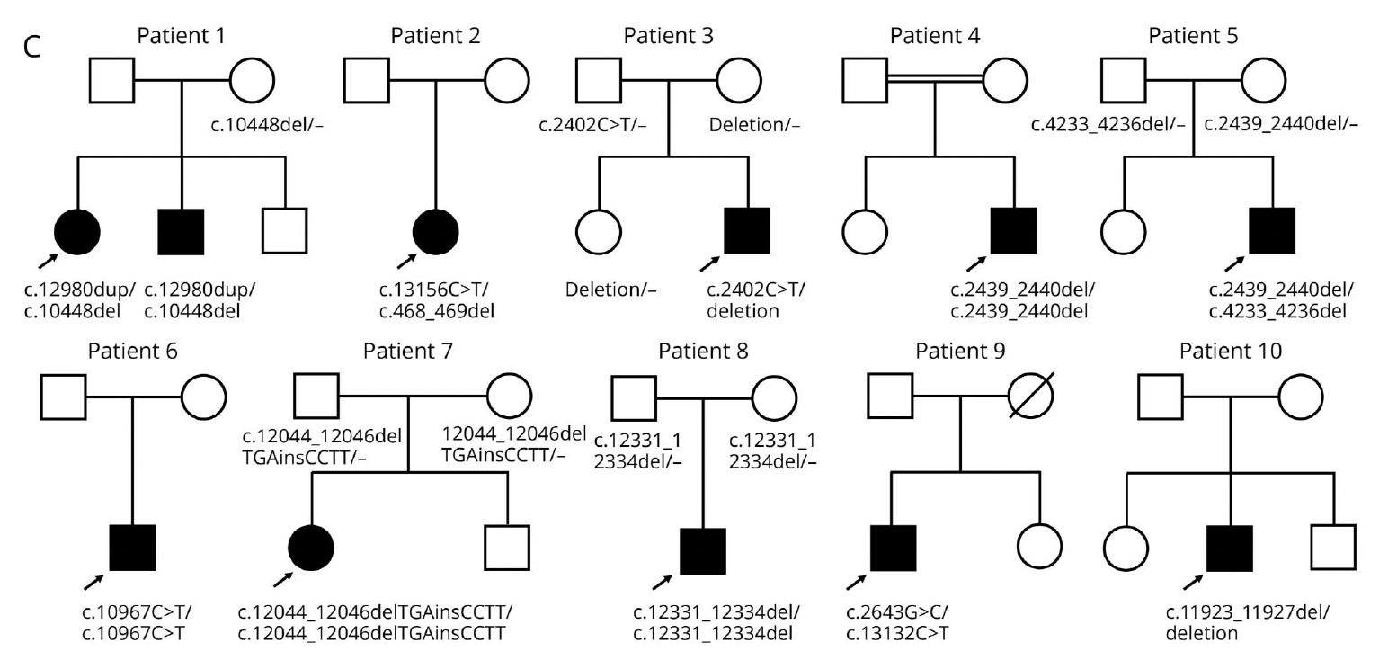 スクリーンショット 2025 10 29 14.23.36